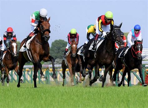 2014 馬|生年[2014]の競走馬検索結果｜競馬データベー